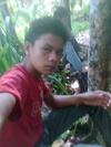 Gambar000