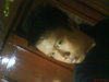 Ido bukan teroris
