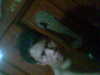 Pictures 007